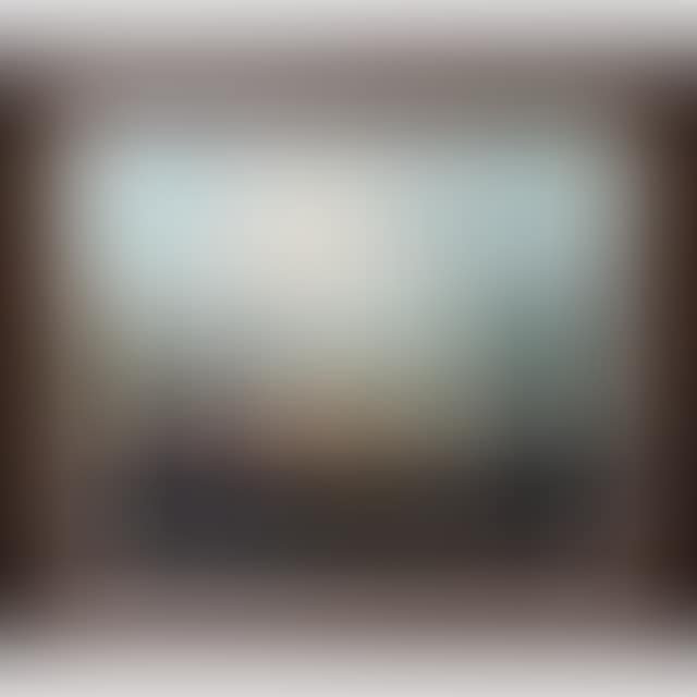 UNTITLED (BUSH FIRE) (preview)