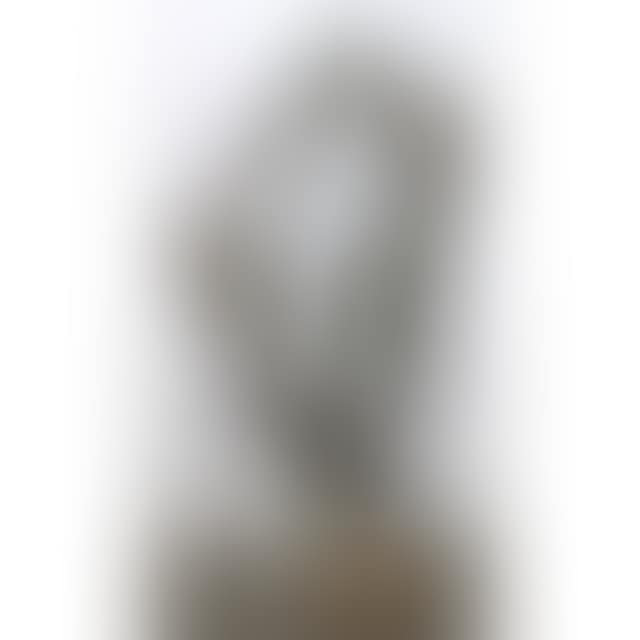 UNTITLED (ABSTRACT FORM) (preview)