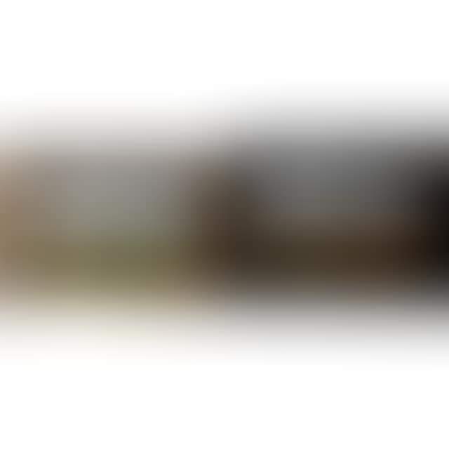 GRAZING CATTLE (preview)