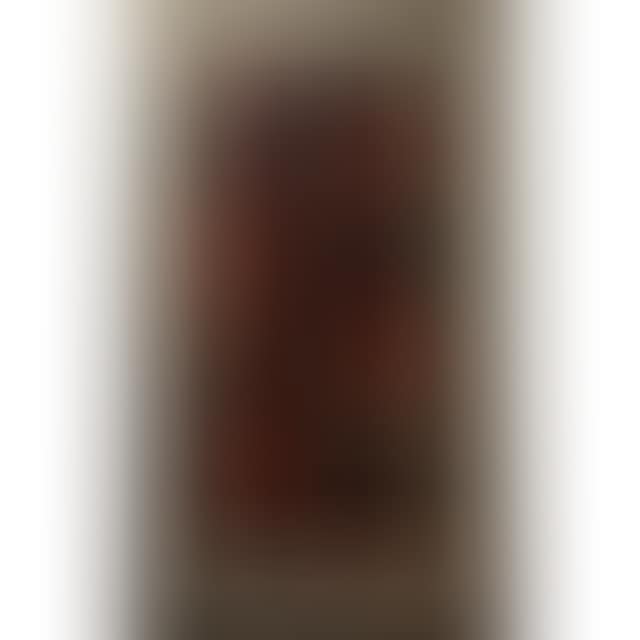 ABSTRACT (preview)