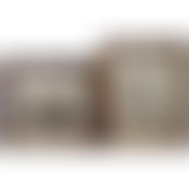 UNTITLED (VIEWS OF CHICAGO) (preview)