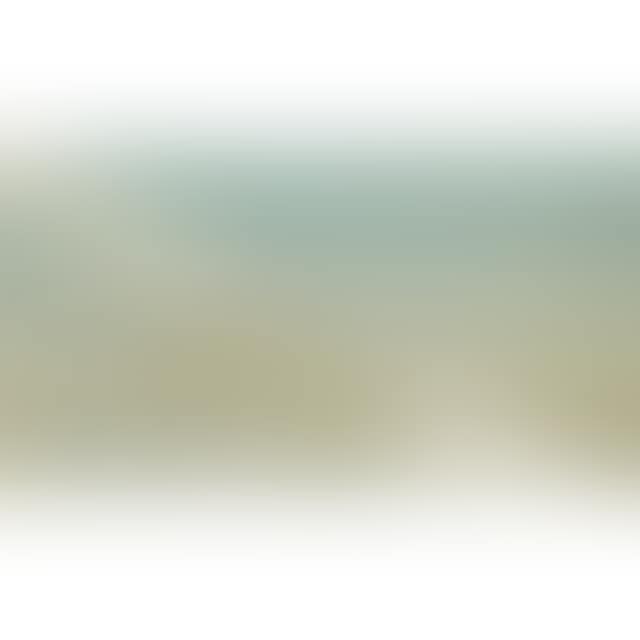 CHEESE MOLD STANDARD WITH OLIVE (preview)