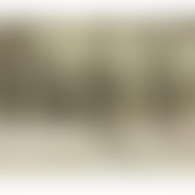 SNOW, CENTRAL PARK (preview)