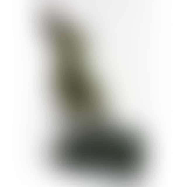 NUDE TORSO (preview)