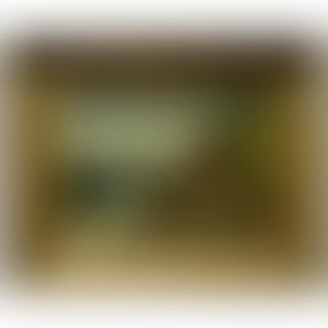 COASTAL VIEW (preview)