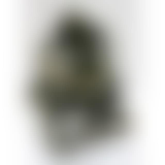 LOVERS EMBRACED (preview)