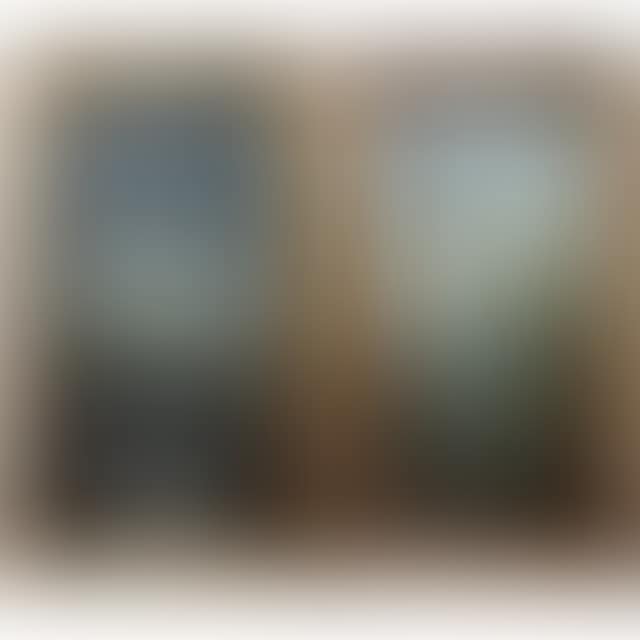 WATERFALL; RAPID CREEK (preview)