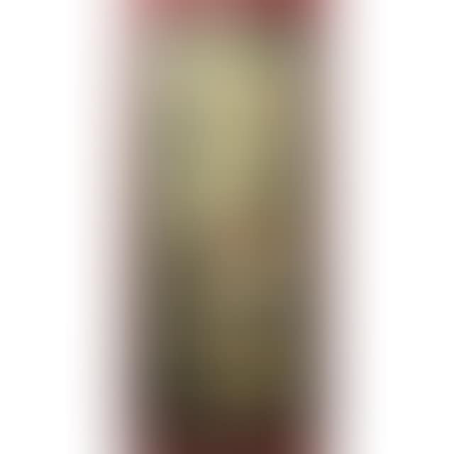EXOTIC BIRDS (preview)