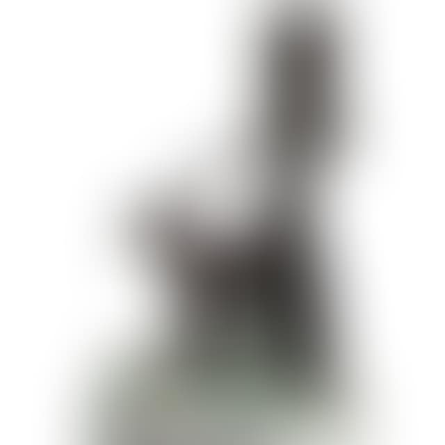 LADY WALKING GREYHOUND (preview)