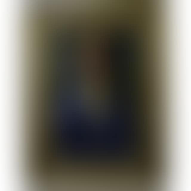 PORTRAIT OF AN EDWARDIAN BOY (preview)