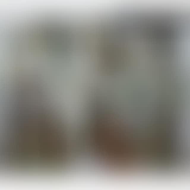 UNTITLED (HOME OF MUSICIANS) (preview)