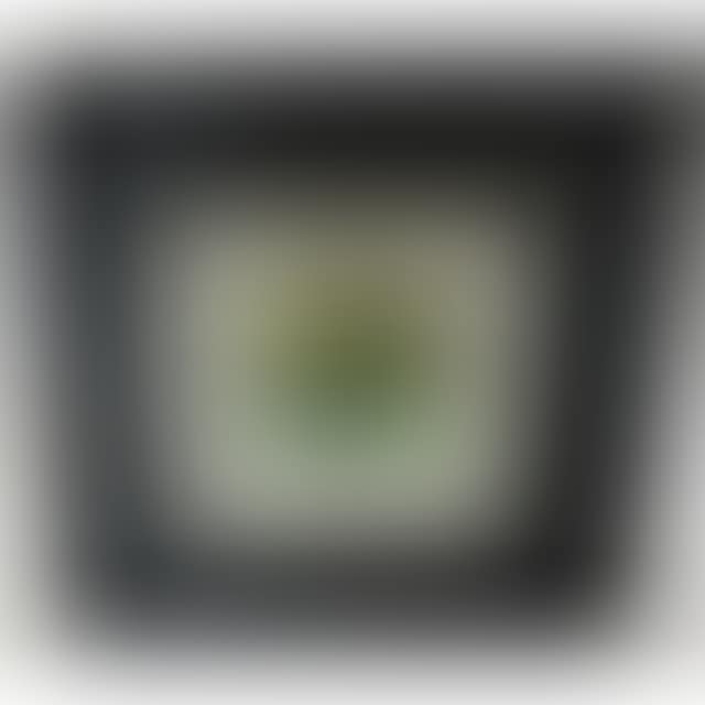 GRENADIER POND (preview)
