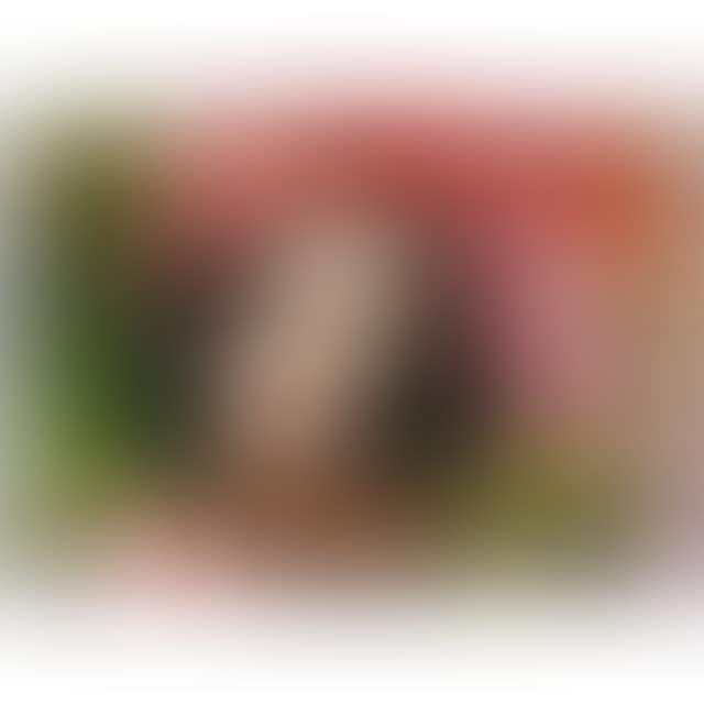 THE FIDDLE PLAYER (preview)