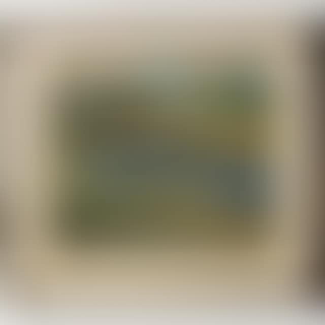 UNTITLED (ROCKY SHORELINE) (preview)