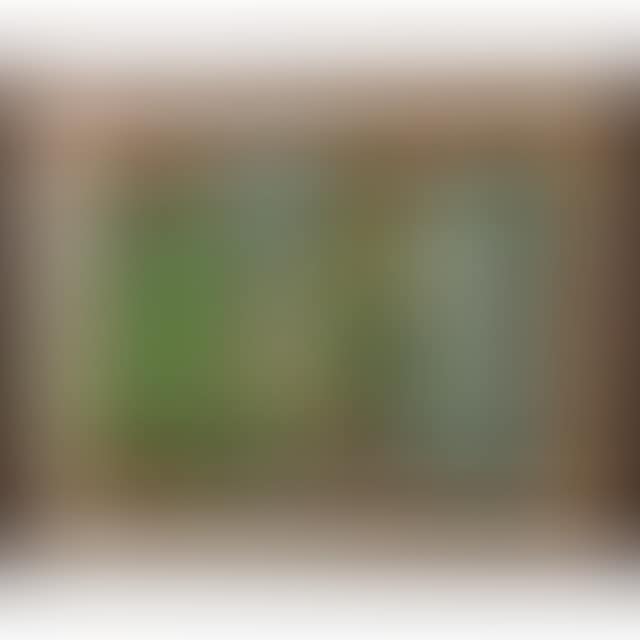 UNTITLED (A ROOM WITH A VIEW) (preview)