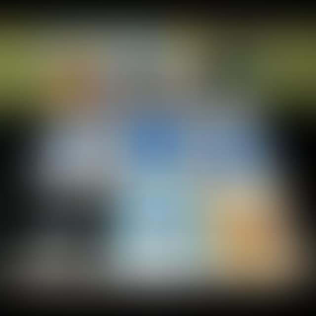 VARIOUS SUBJECTS (preview)