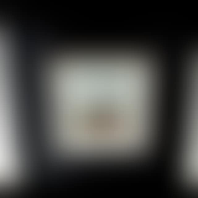 SPARROW LAKE (preview)