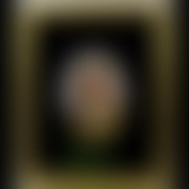 PORTRAIT STUDY (preview)