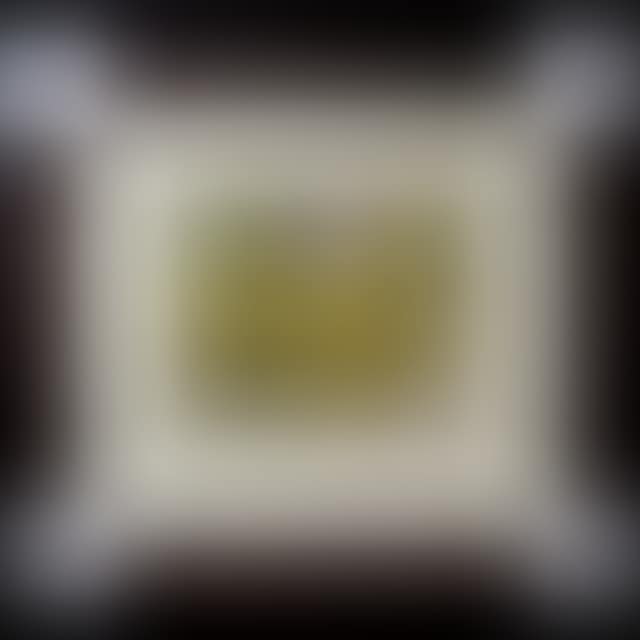BLACK EYED SUSANS; HALFWAY LAKE (preview)