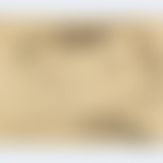 TROMPE L"OEIL LETTER TO MRS. ROBINSON, YORK, UPPER CANADA (preview)