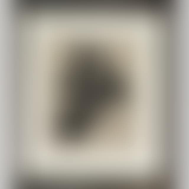 GROVER CLEVELAND II (preview)