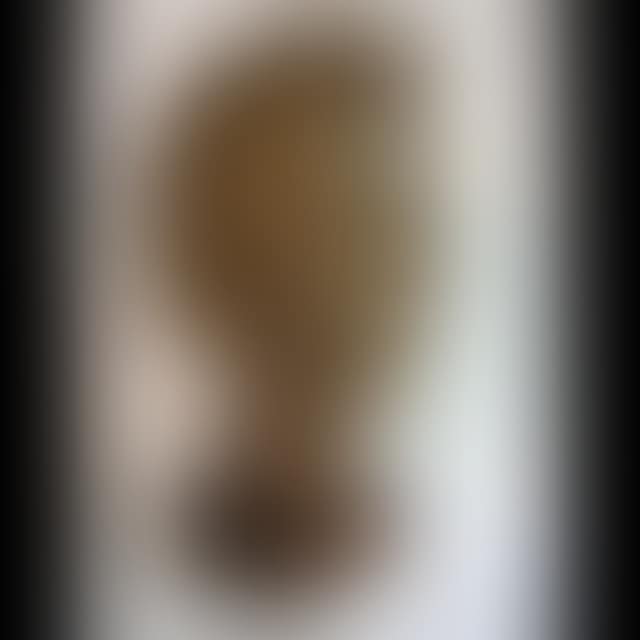 FEMALE HEAD STUDY (preview)
