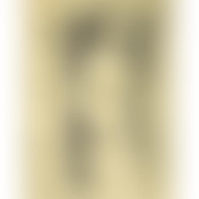 THE SCREEN (preview)