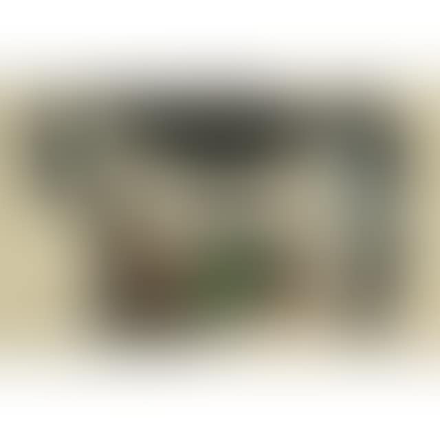 MOTHER AND CHILD (MOTHER TERESA SERIES) (preview)