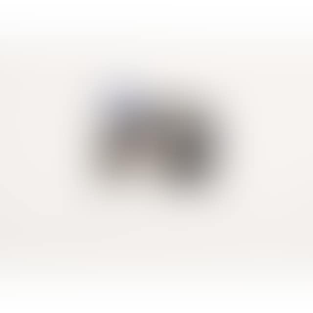 FUSEES (preview)