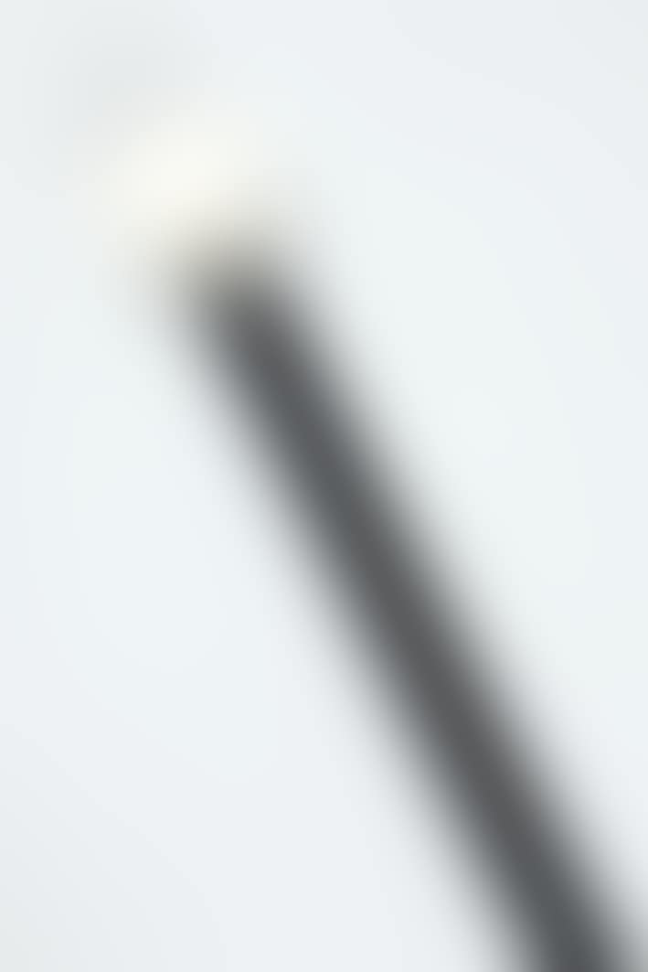 A wooden walking stick (preview)
