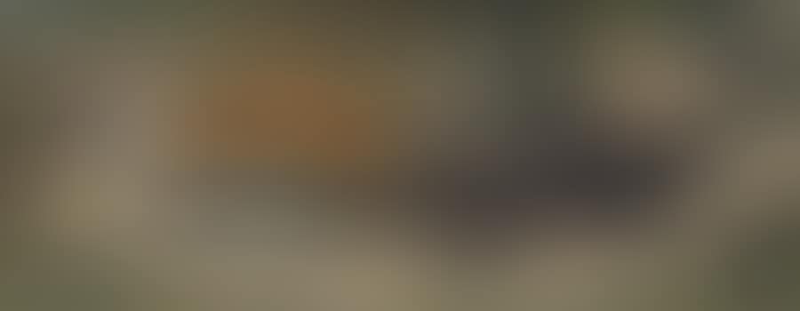 Still Life with Fruit (preview)