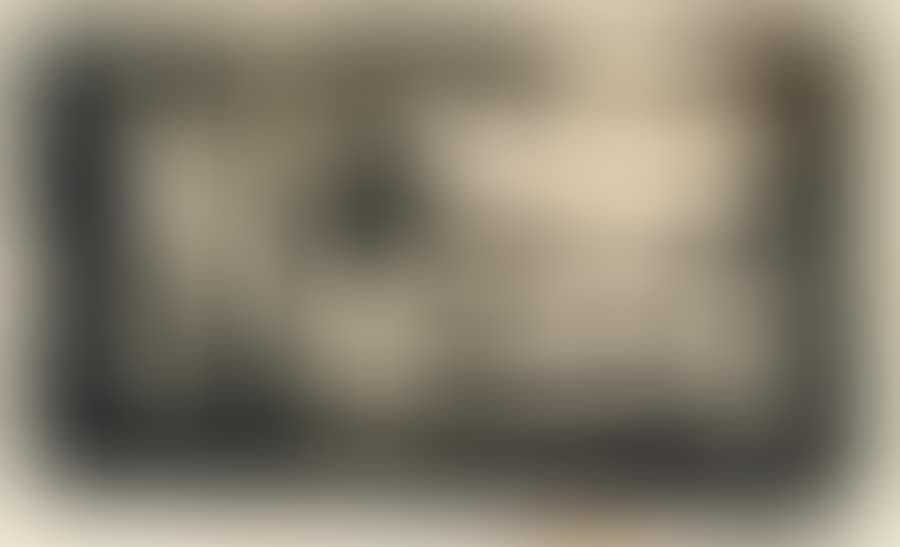 NOT PRESENT; Woman lying under a tree (preview)