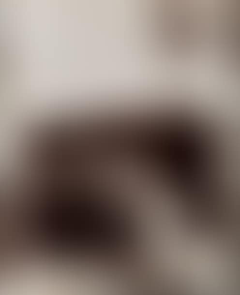 Place Saint-Sulpice (preview)