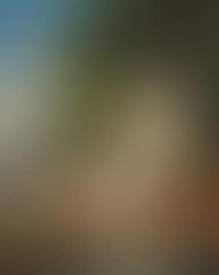 Am Waldteich (preview)