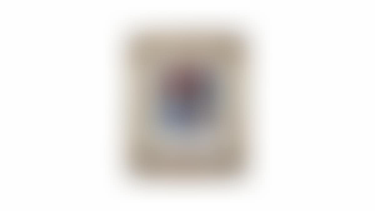 Double portrait of a child in Louis XIII costume (preview)