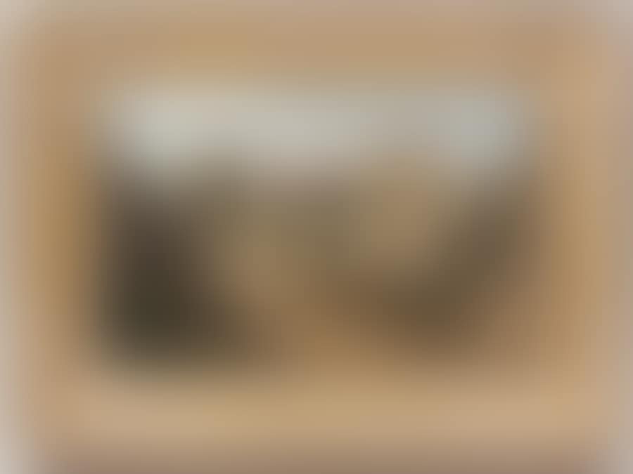 "Live village" (preview)