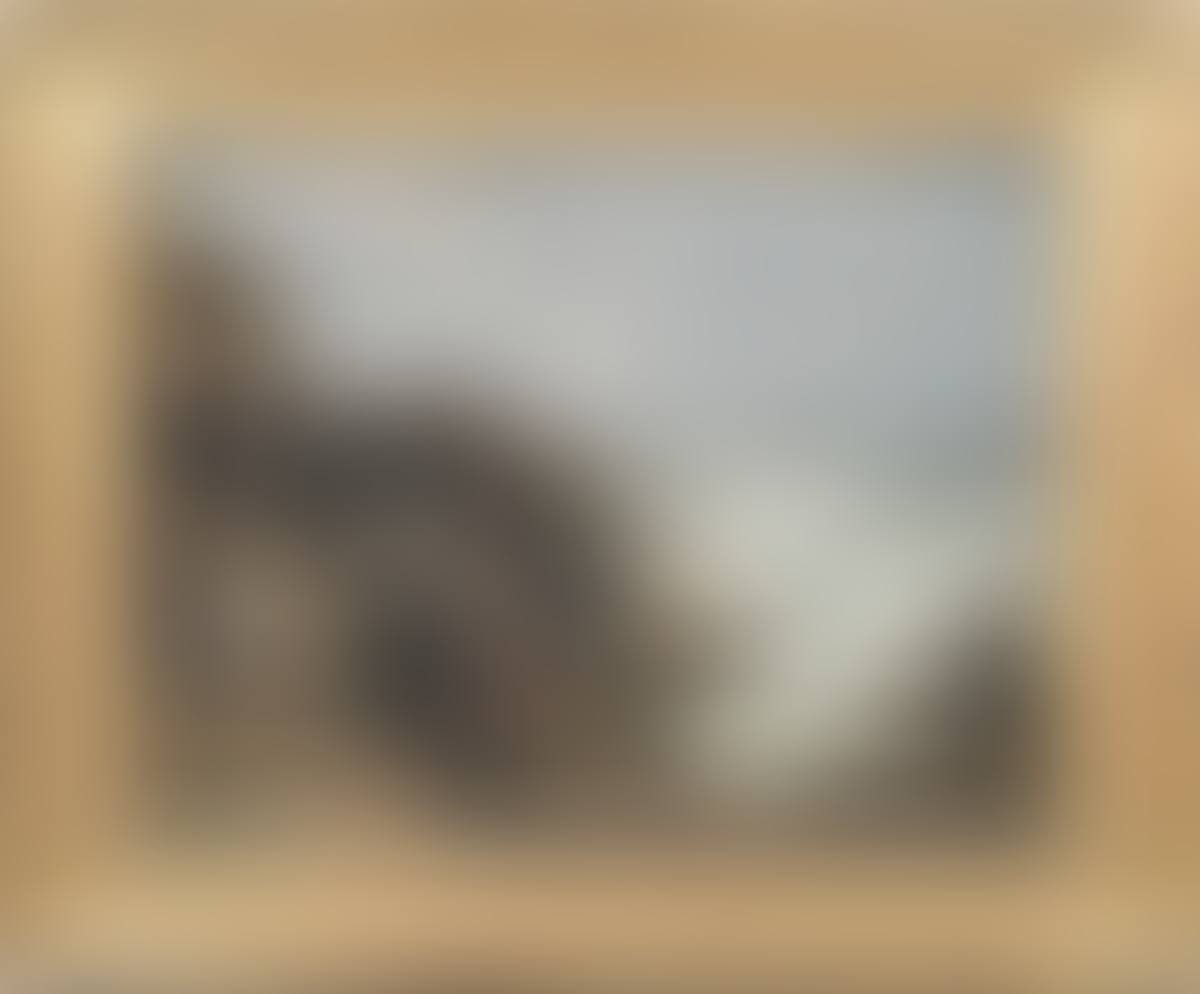 “The return of the fishermen” (preview)