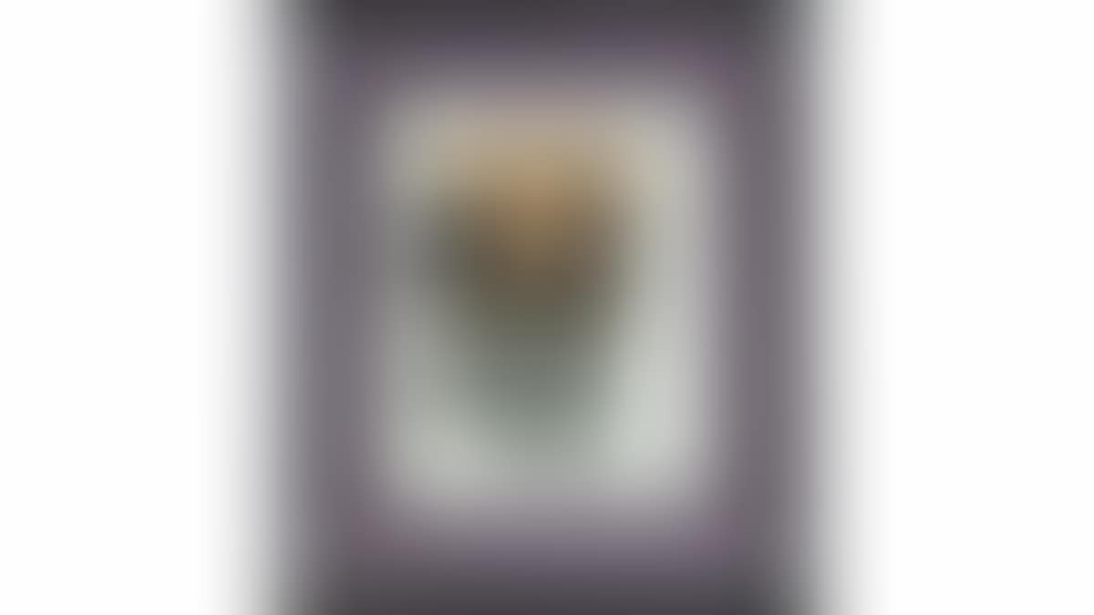 " Untitled " (preview)