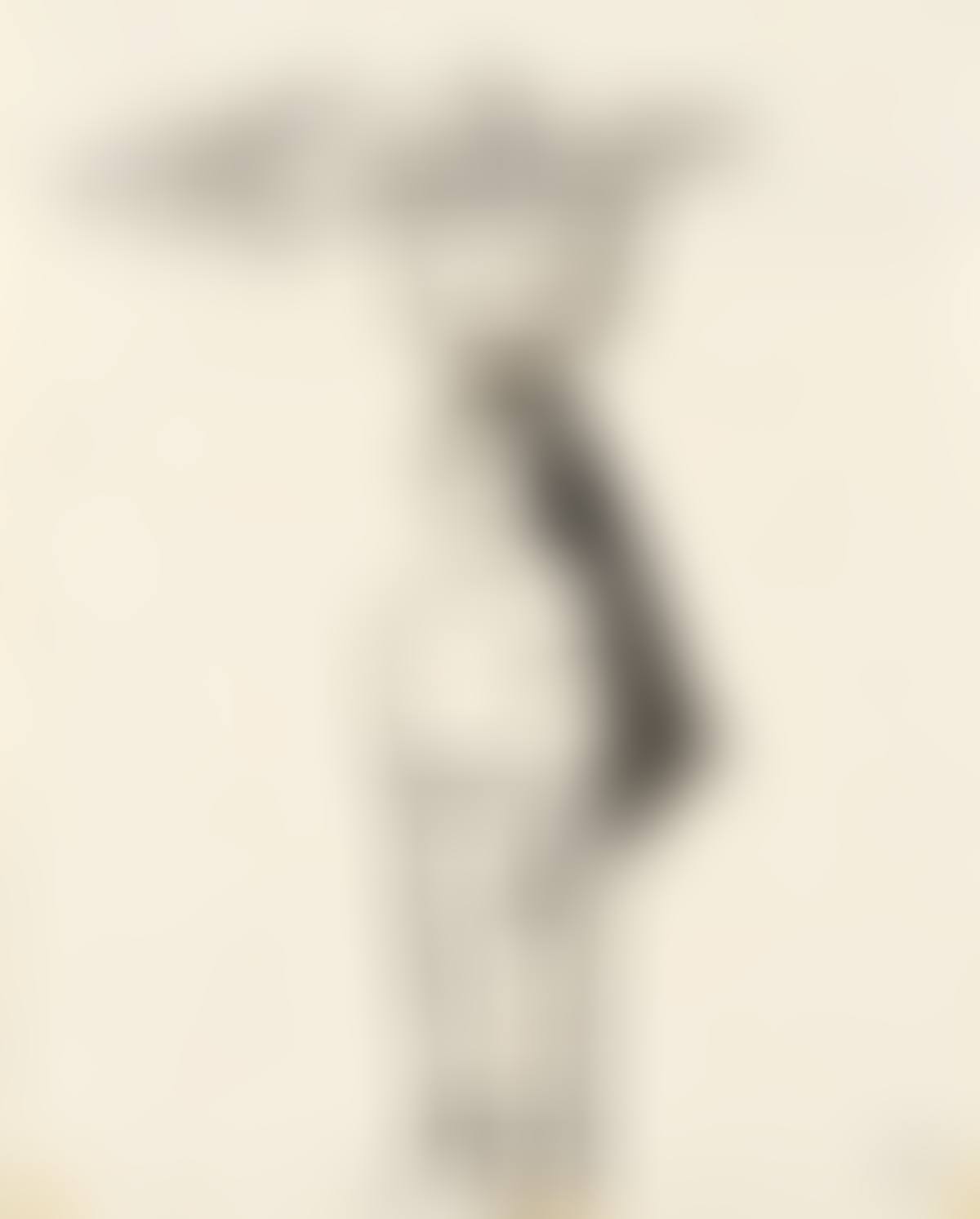 Untitled. (preview)