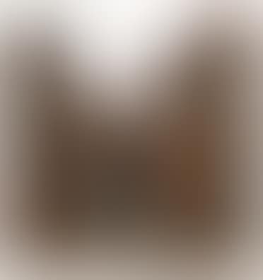 The adoration of the shepherds (preview)