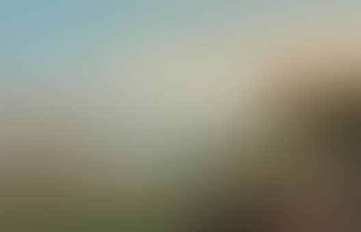 Vue du Mont Blanc (preview)