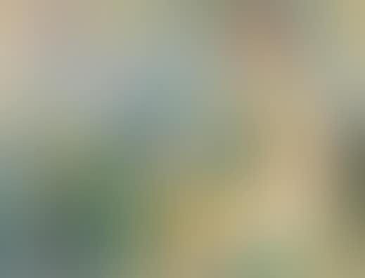 Female nude with still life (preview)