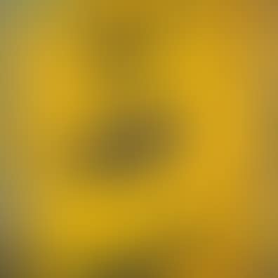 Yellow Field Worlds (preview)