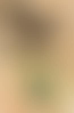 Landscape (preview)