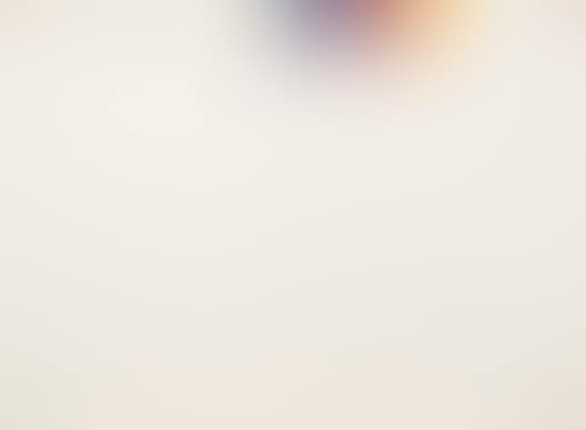 P.496 (preview)