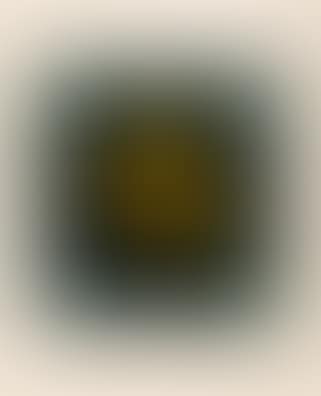 Soleil recerclé (preview)