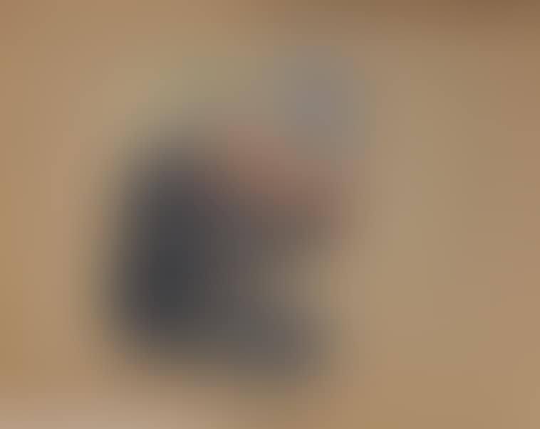 The Violinist (preview)