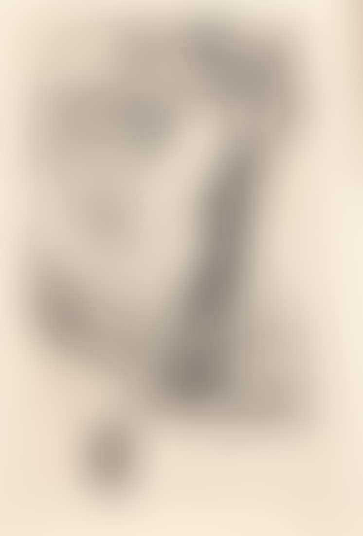 Andromeda (preview)
