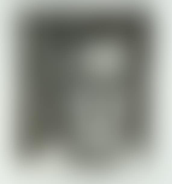 Portrait Head (preview)