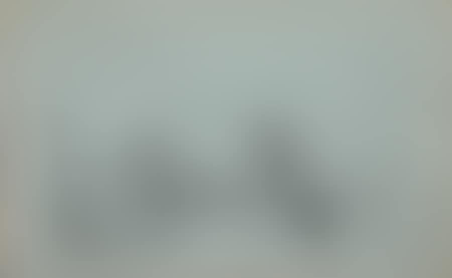 Landscape with a farm (preview)